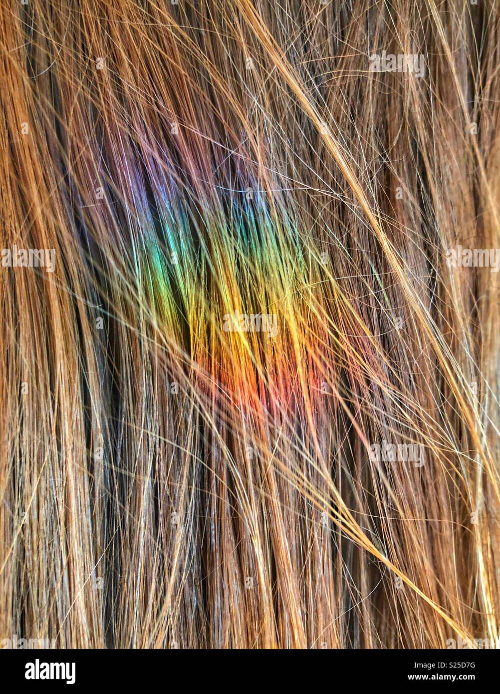 Closeup of brunette hair with spot illuminated by rainbow light Stock Photo