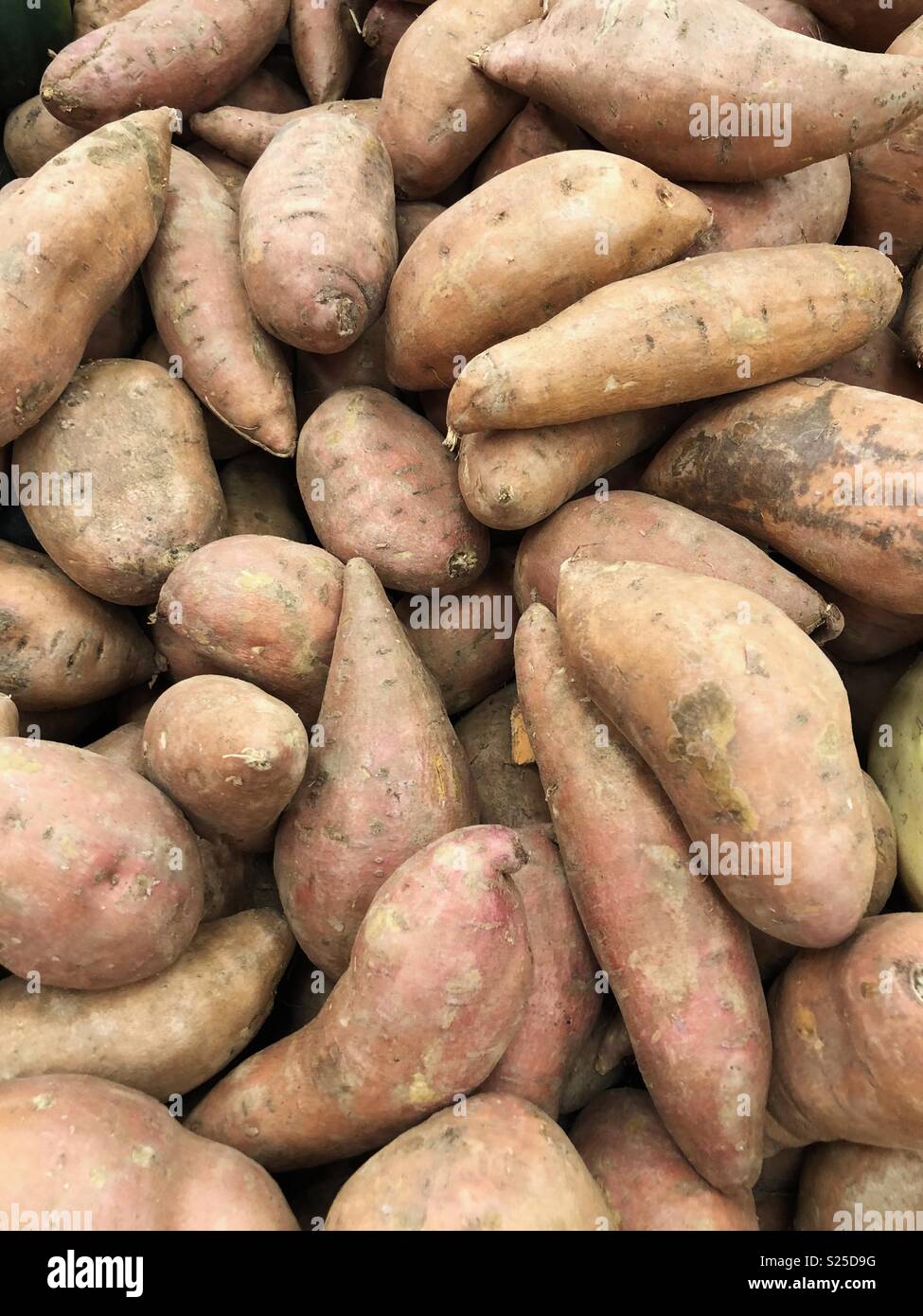 Sweet potatoes - Smartphone Captured Stock Image
