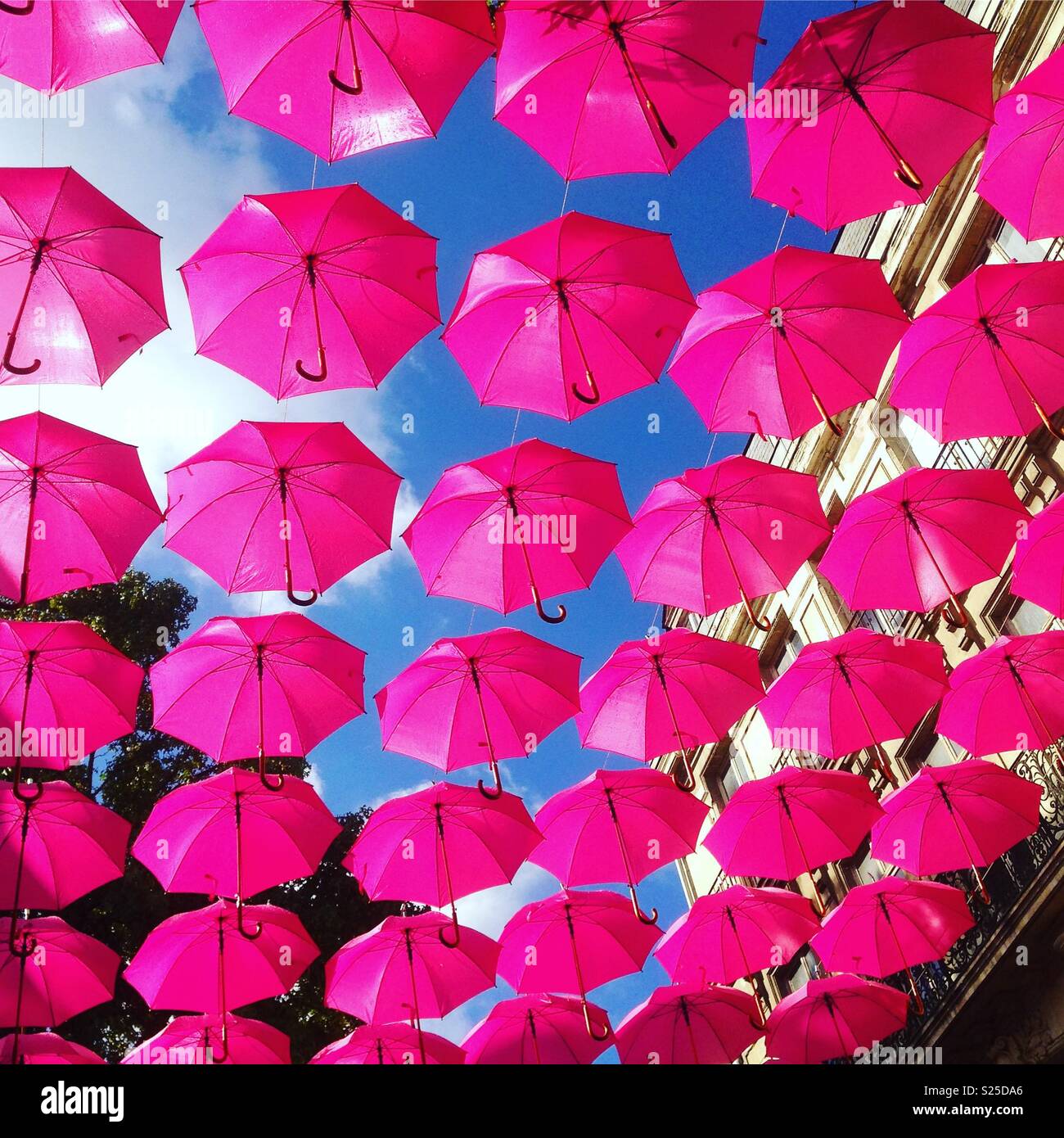 Saumur, France - 6th October 2017: Pink umbrellas street art installation, Saumur, France - Smartphone Captured Stock Image