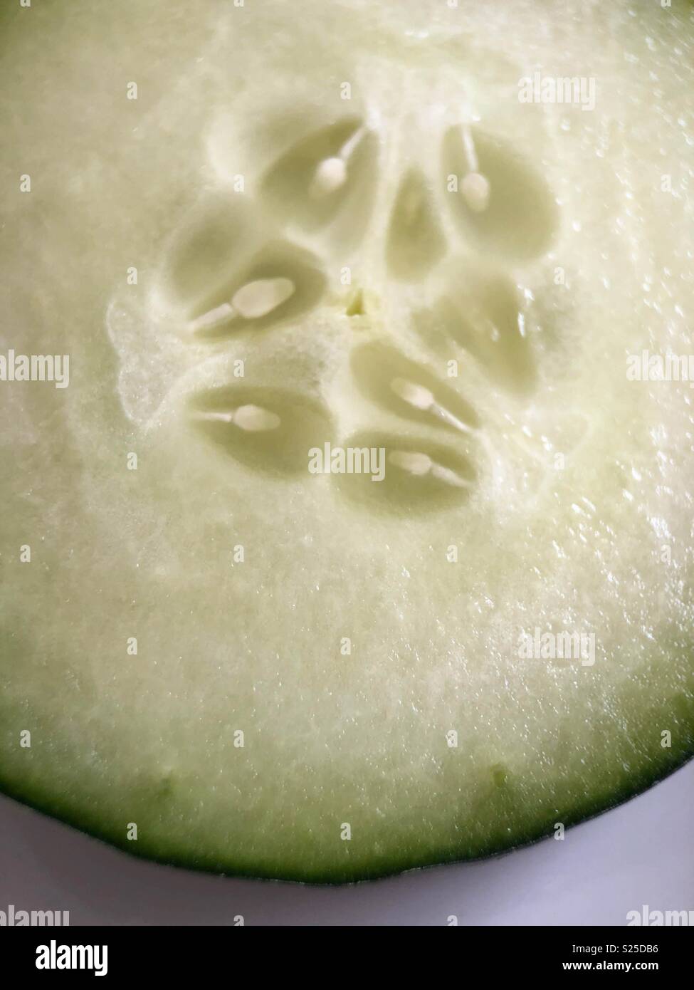 Up close of cucumber slice - Smartphone Captured Stock Image