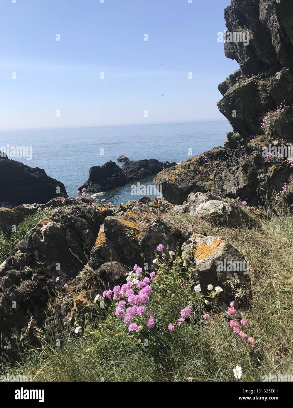 Portpatrick View Portpatrick view from the edge Stock Photo - Alamy