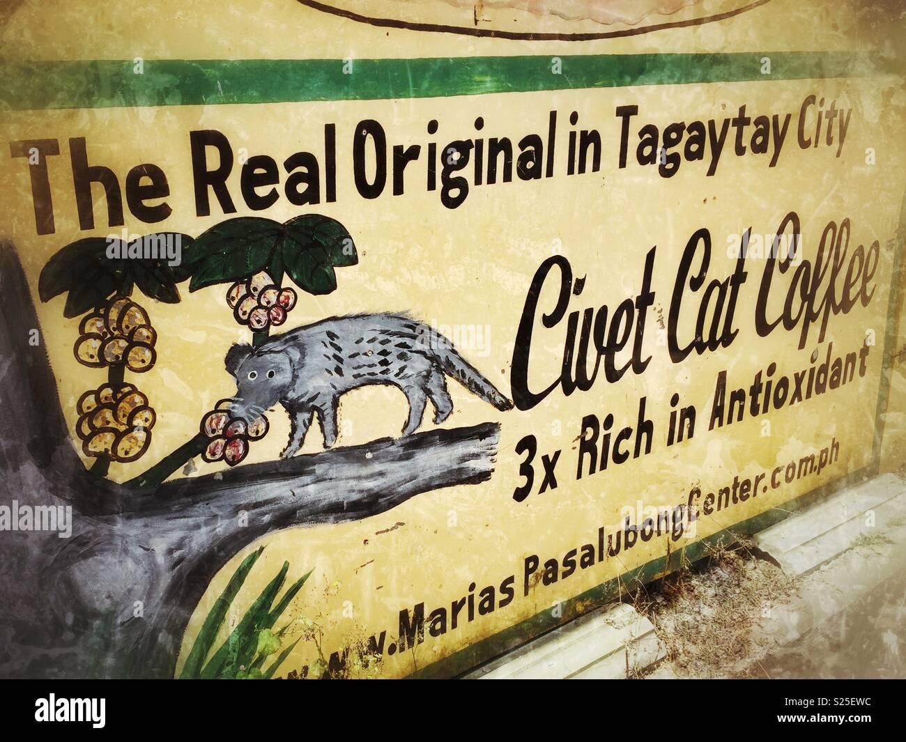 A hand-painted sign advertising 'Civet Cat Coffee' in Tagaytay City, known for its antioxidant-rich specialty coffee made from civet-processed beans - Smartphone Captured Stock Image