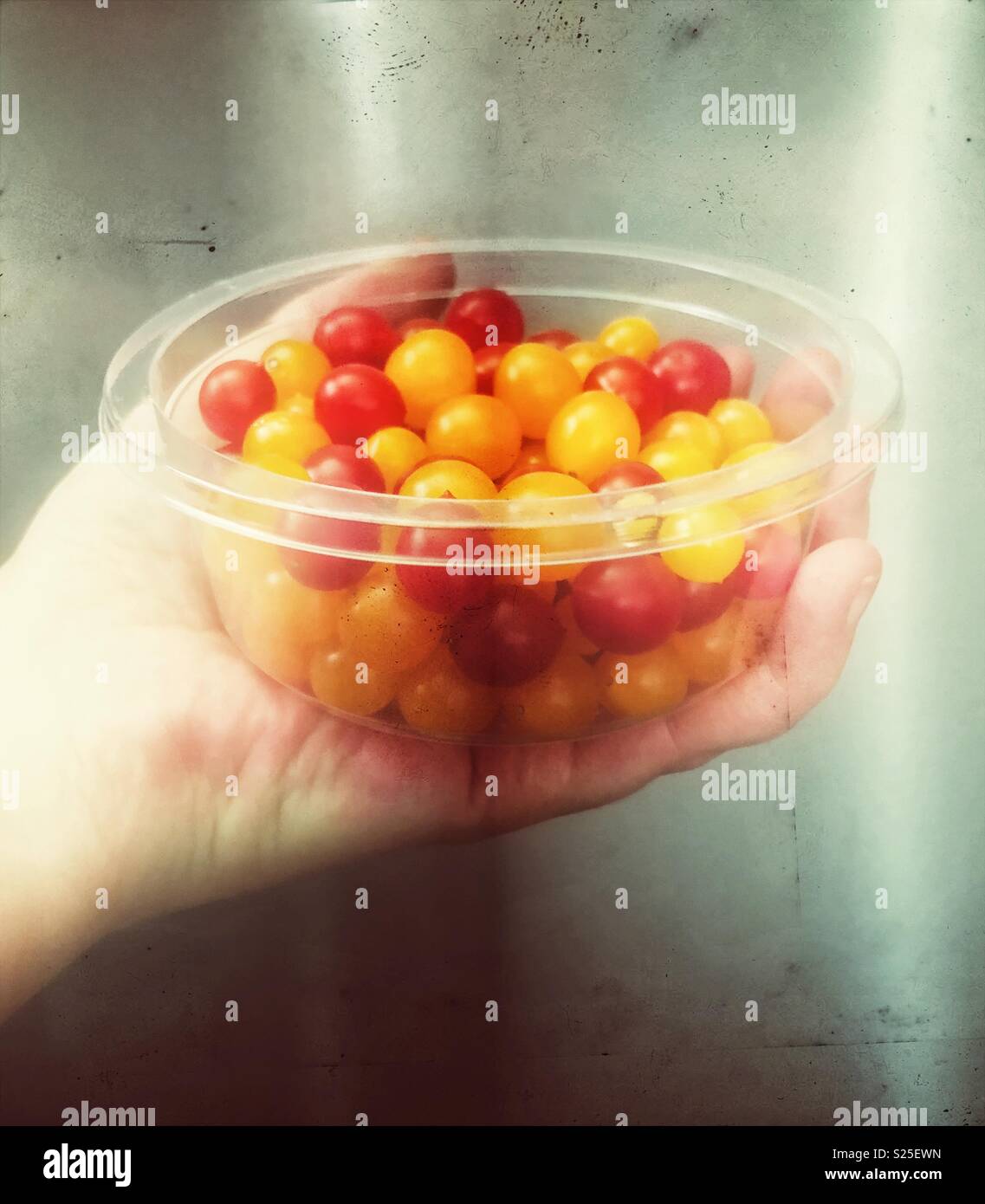 Adult hand holding clear plastic bowl full of Tomberry tomatoes - Smartphone Captured Stock Image