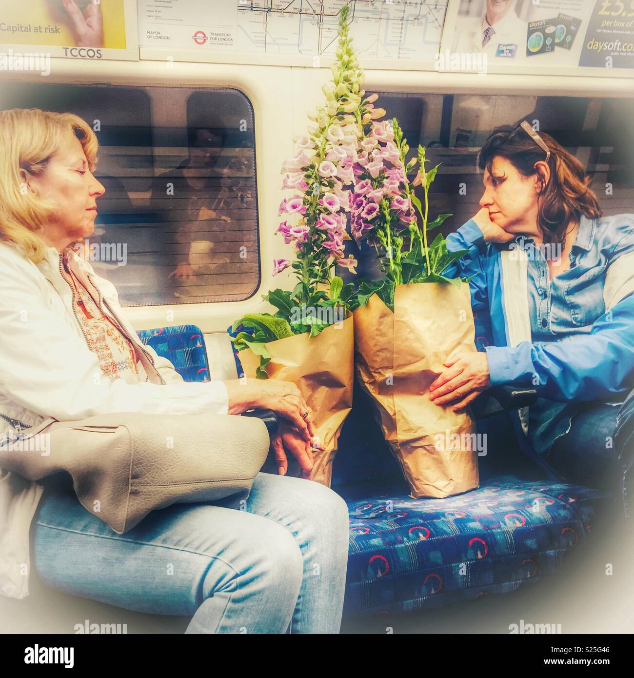 Two women with foxglove plants on London Underground Tube train - Smartphone Captured Stock Image