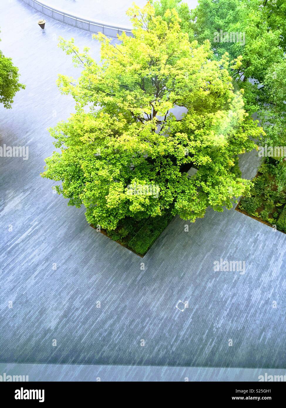 Green Corner in the City Stock Photo Alamy