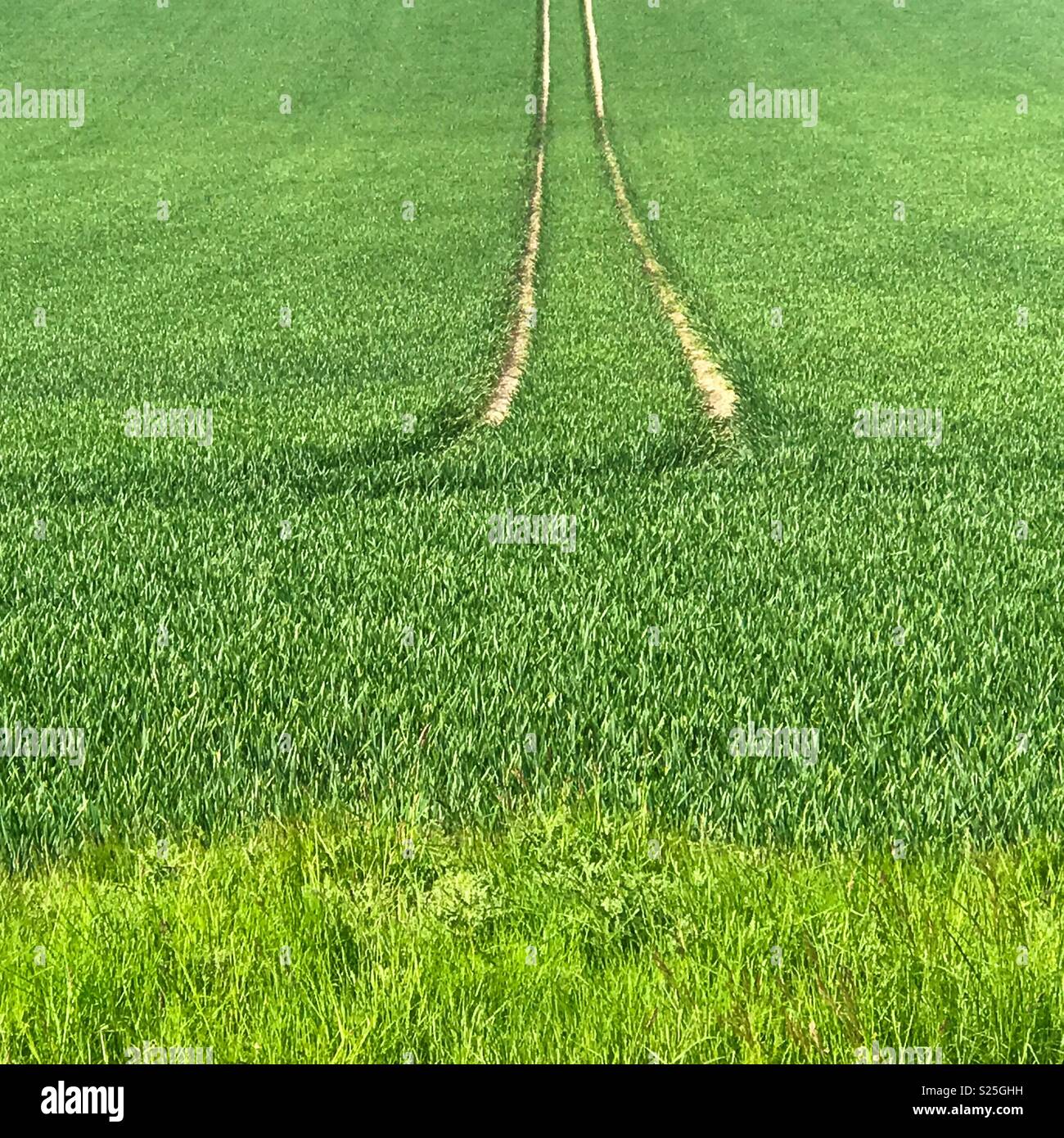 Tractor lines Stock Photo