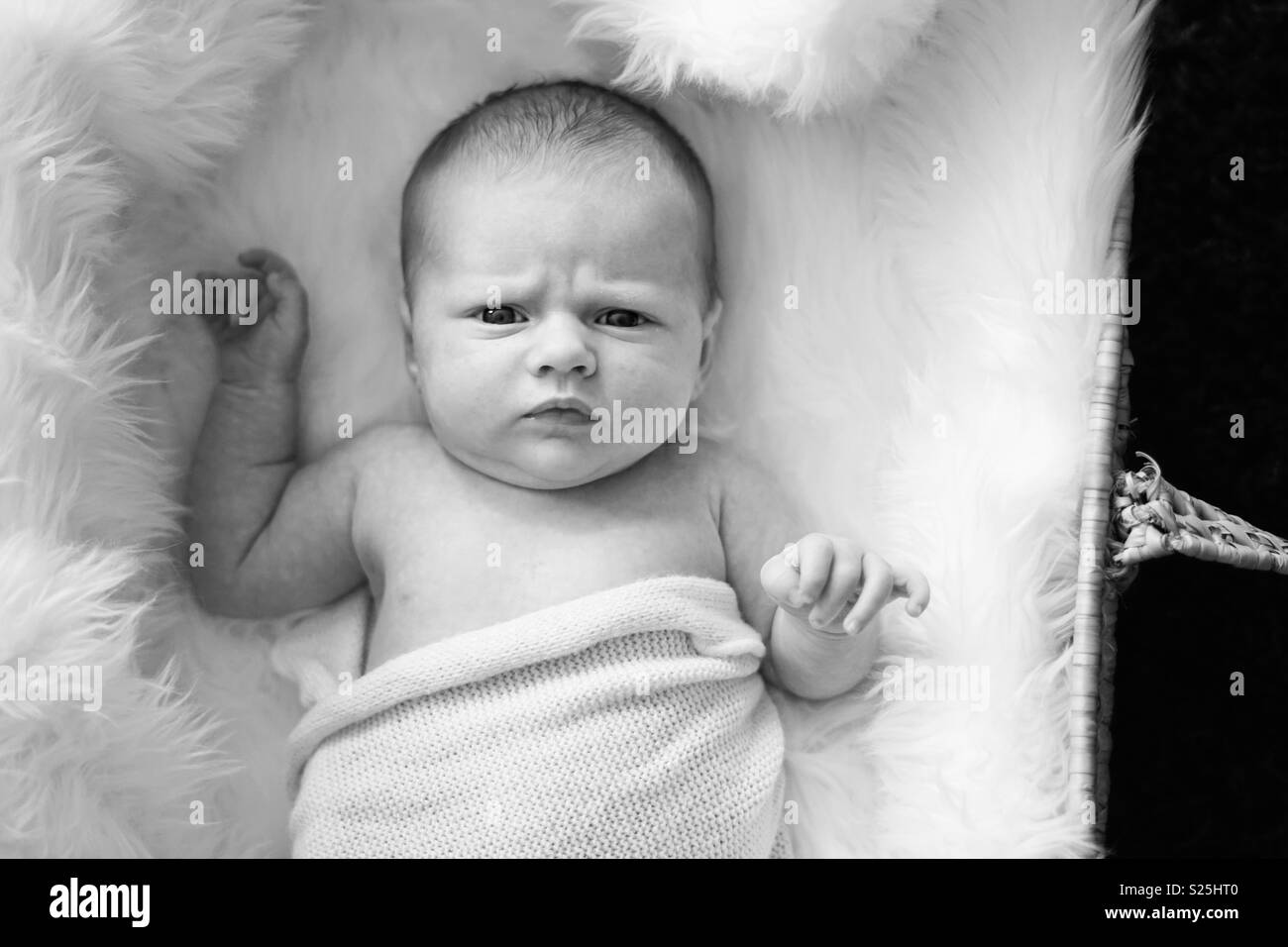 Tiny baby black and white awake in a Moses basket funny expression Stock Photo