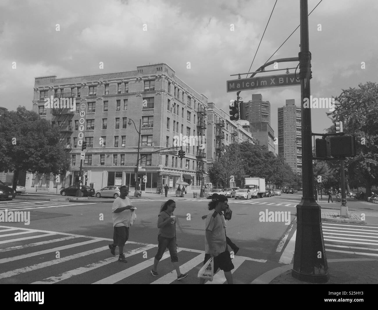 Zebra Crossing New York Stock Photo Alamy
