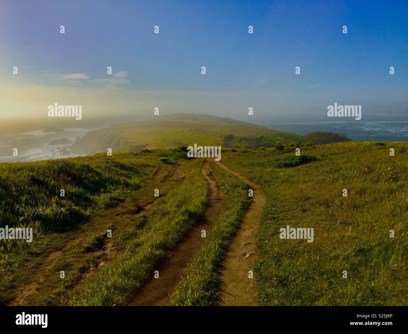 Tomales Point, Point Reyes National Seashore. Stock Photo