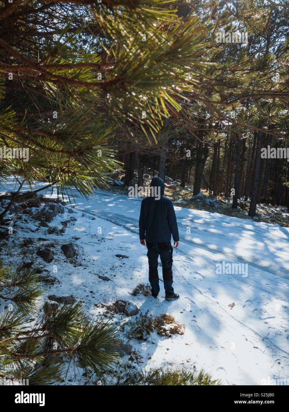 Man standing on snow covered road in forest Stock Photo