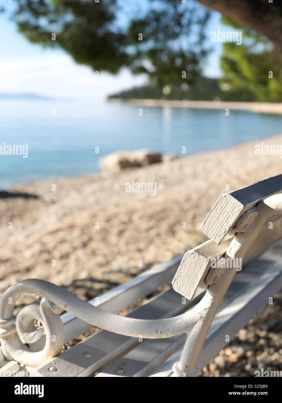 Wooden bench under pine tree on the beach Stock Photo