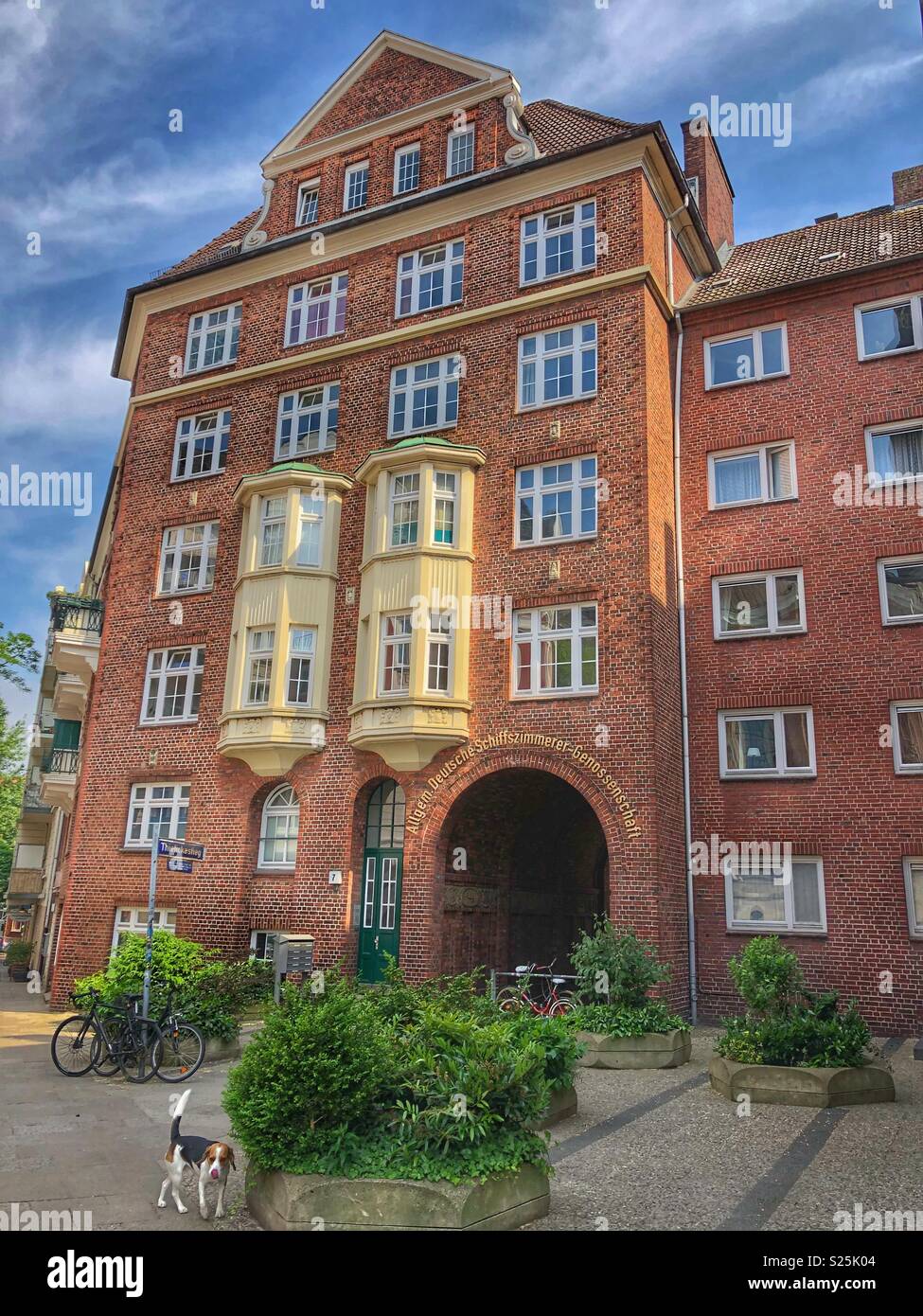 Dog walks by an historic building in Hamburg, Germany. - Smartphone Captured Stock Image