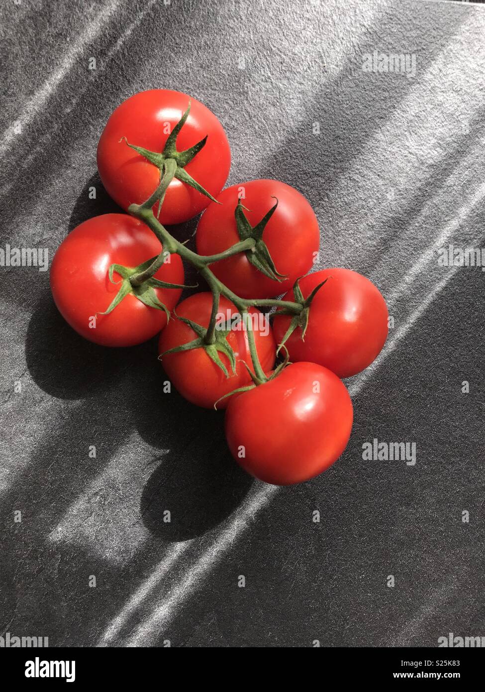 Tomatoes  (Sioux) with a stalk, known to be resistant to pests. - Smartphone Captured Stock Image