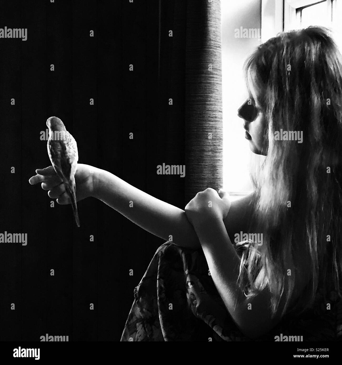 Girl with budgerigar on hand. Black & white. Stock Photo