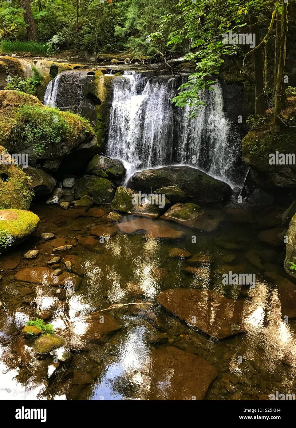 Waterfall in peaceful Whatcom Park, Bellingham, Washington State, USA - Smartphone Captured Stock Image