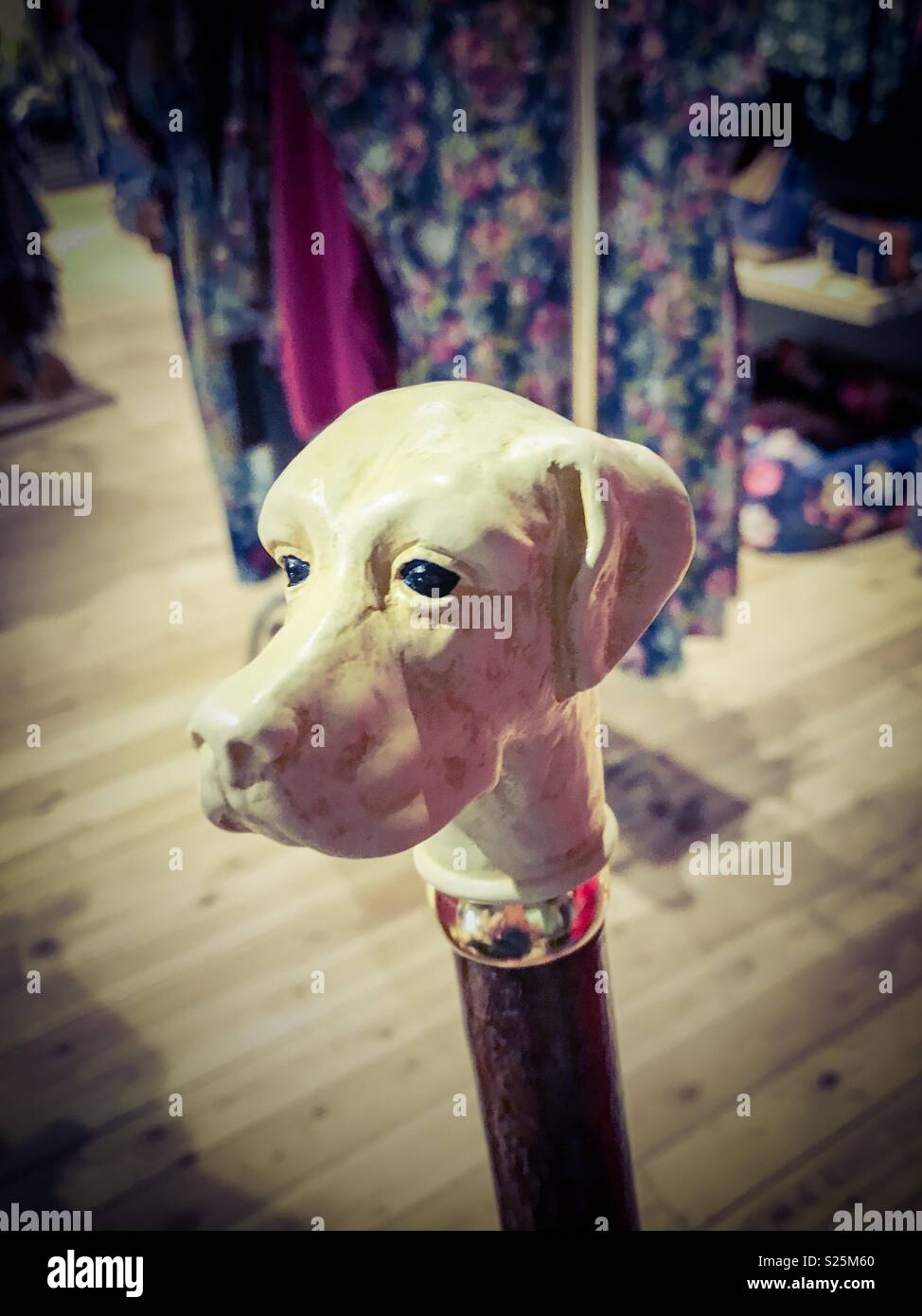 Decorative dog head walking stick/ cane Stock Photo