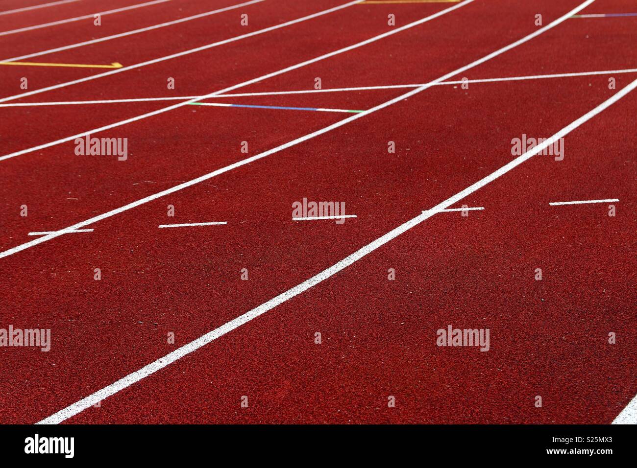 White lines on an athletic track Stock Photo Alamy