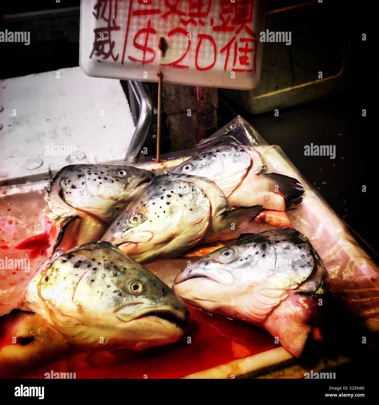Salmon heads for sale in a 'wet market', Yuen Long, New Territories, Hong Kong - Smartphone Captured Stock Image