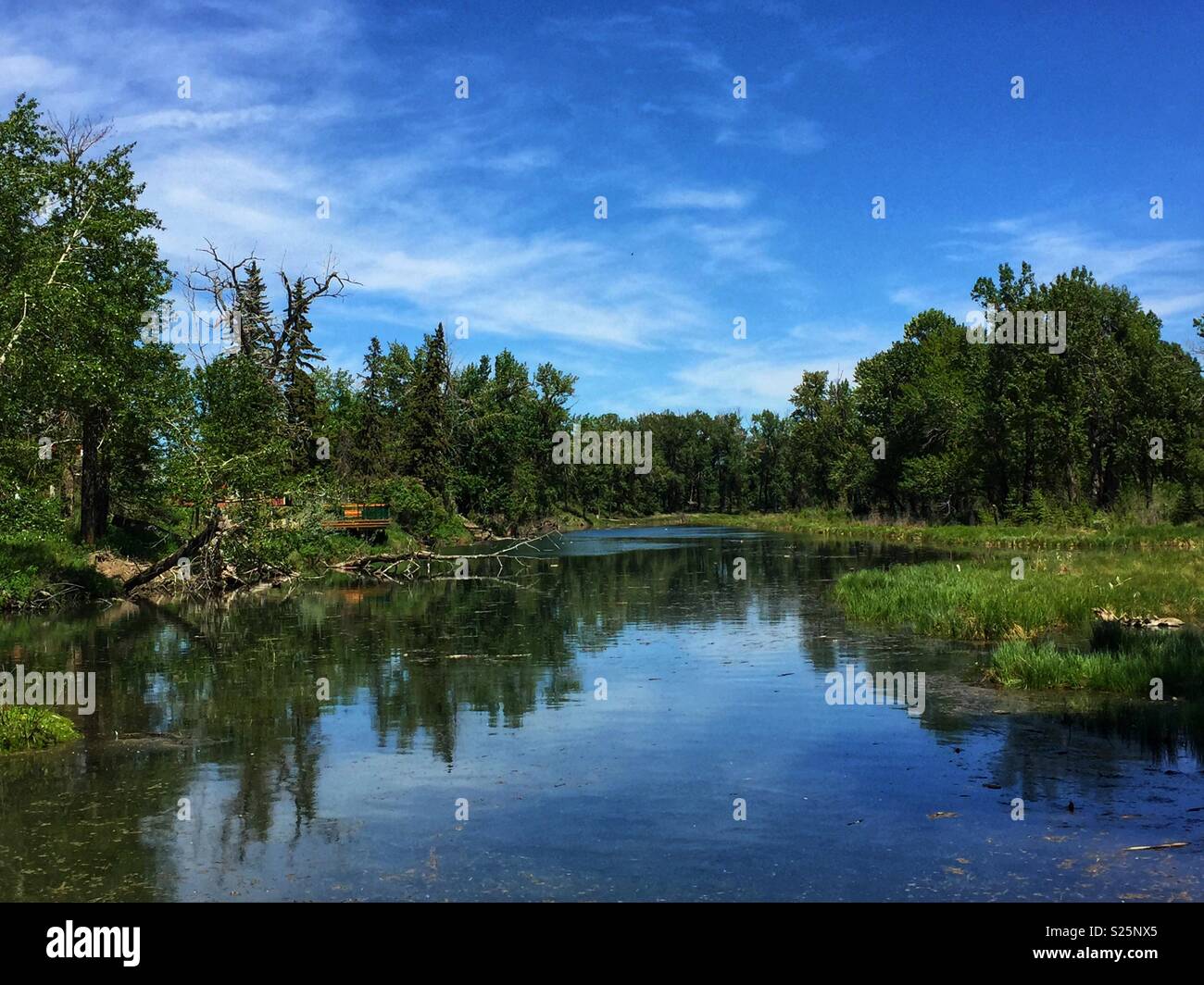 Lagoon in Inglewood Bird Sanctuary,Calgary,Alberta, Canada Stock Photo