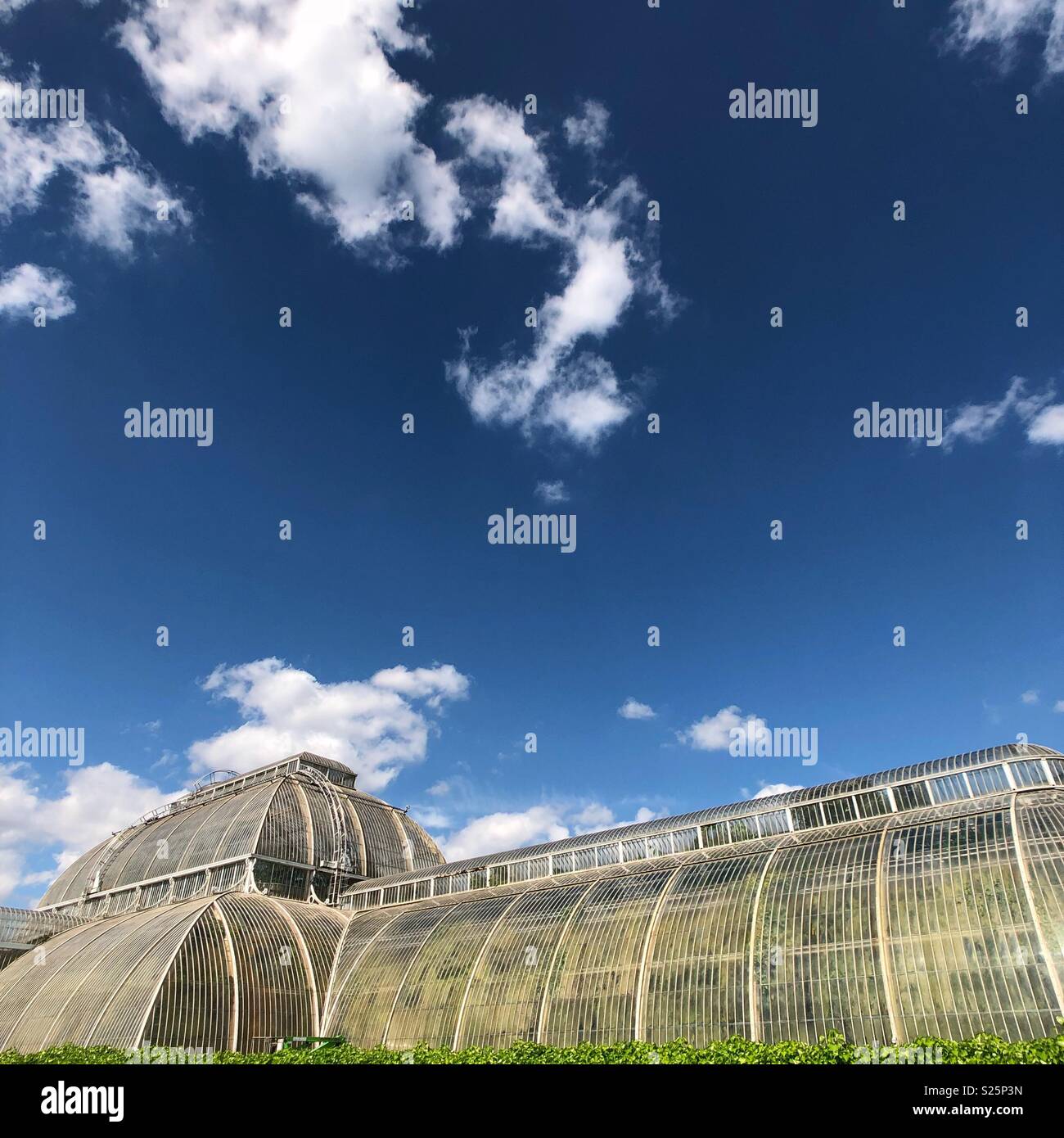 Kew Gargens green house. - Smartphone Captured Stock Image