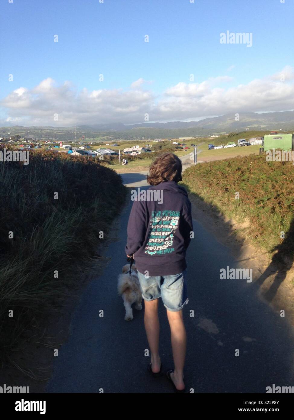 Are Dogs Allowed On Shell Island