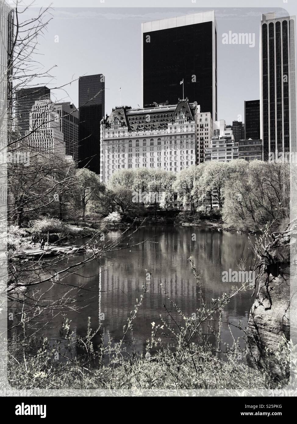 Black and white photo of the plaza  hotel and Midtown Manhattan  skyline as seen from the pond in Central Park, NYC, USA - Smartphone Captured Stock Image