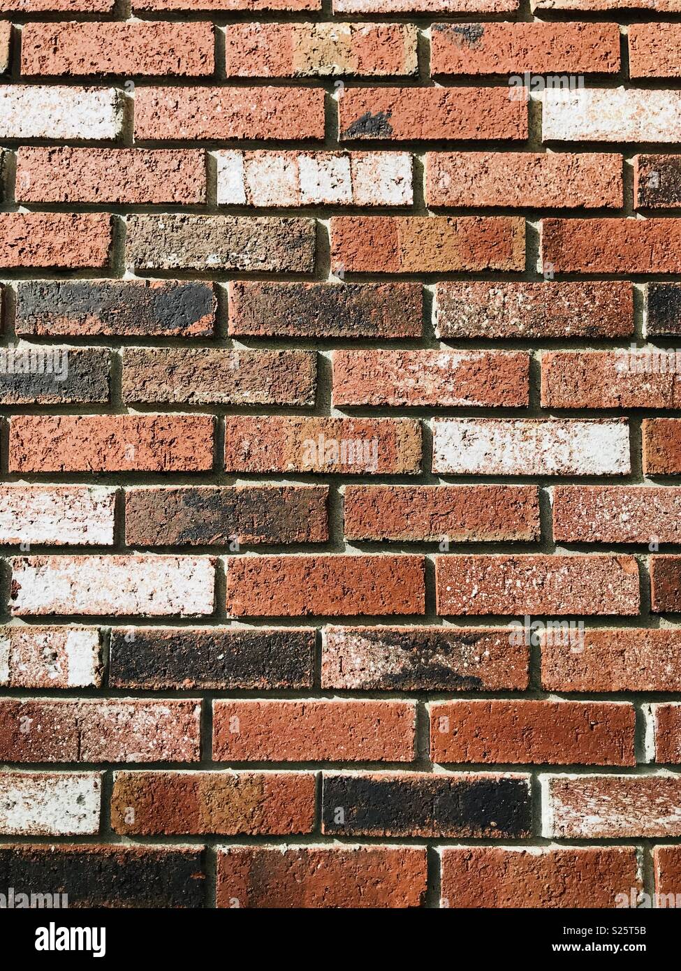 Multicolored bricks Stock Photo