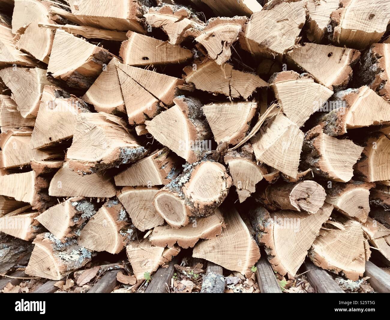 Stacked wood Stock Photo