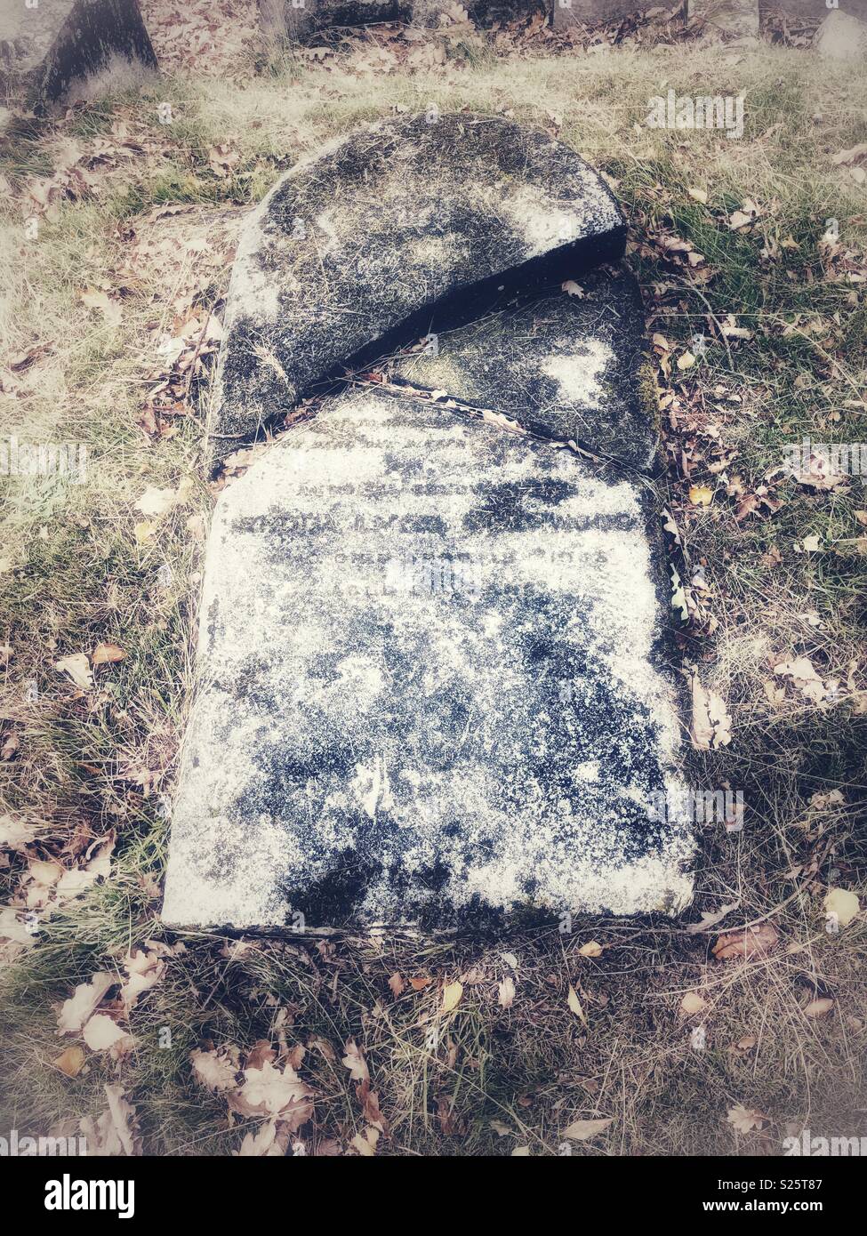 Broken tombstone Stock Photo