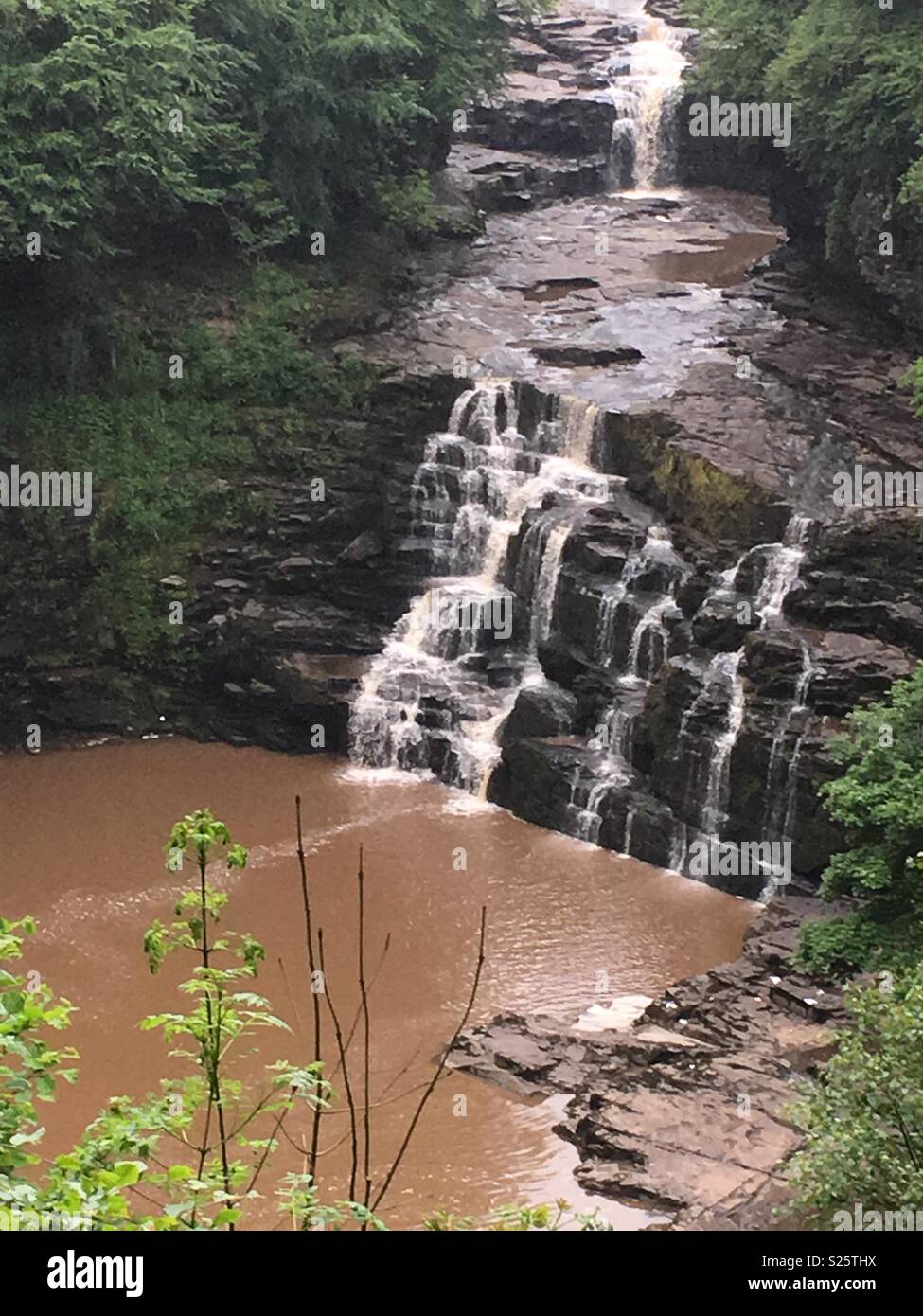 Falls of Clyde forest trail, New Lanark Stock Photo - Alamy