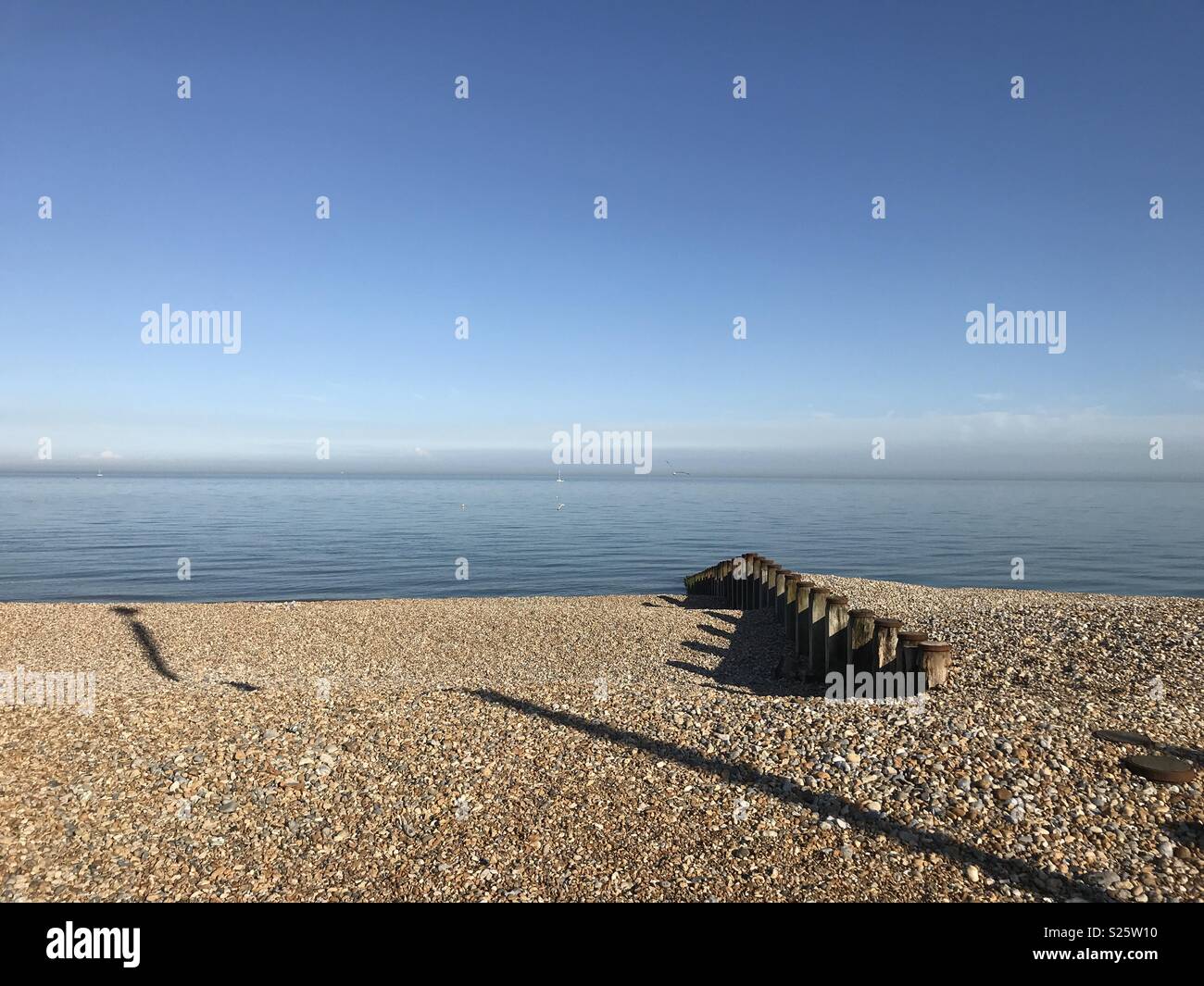 Wooden sea defences leading away Stock Photo - Alamy