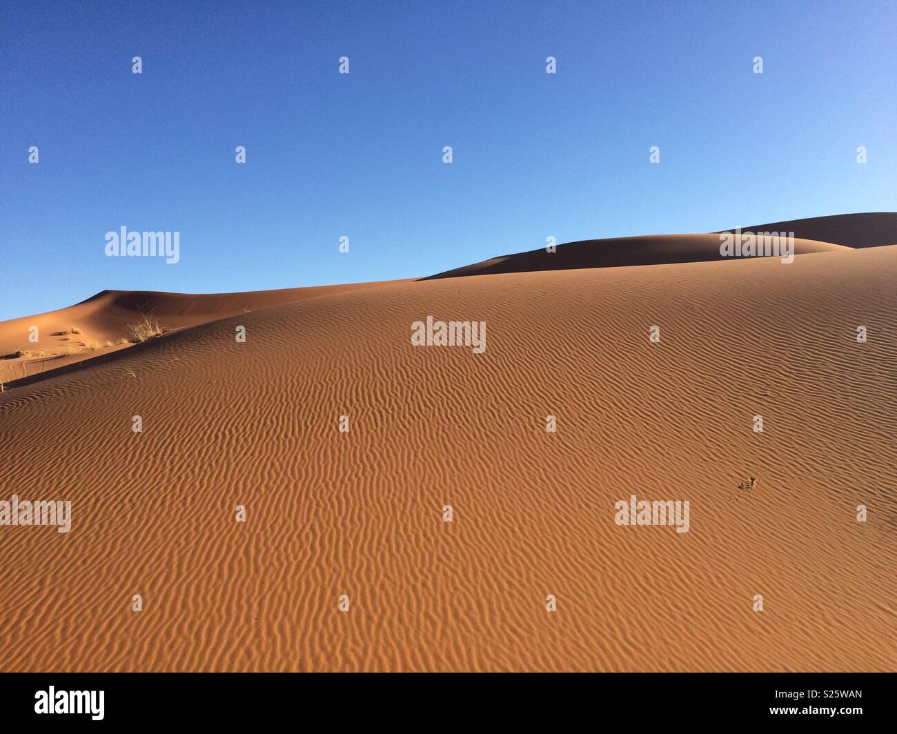 Sahara desert Stock Photo