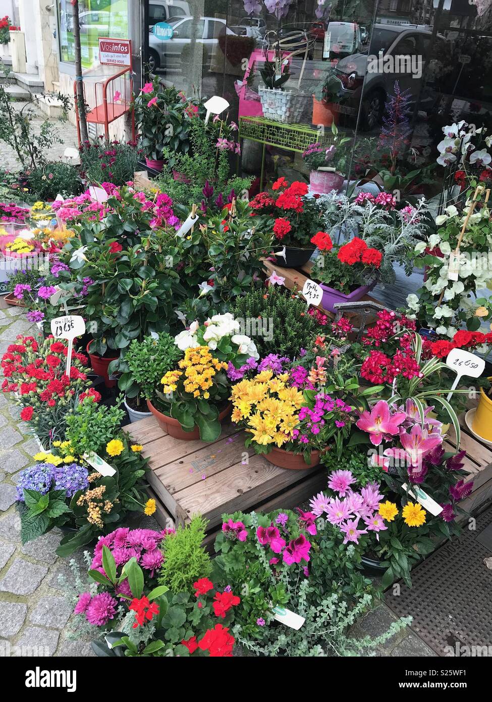 French florist hires stock photography and images Alamy