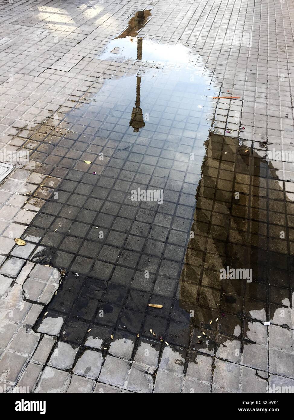 a lamppost reflected in a puddle - Smartphone Captured Stock Image