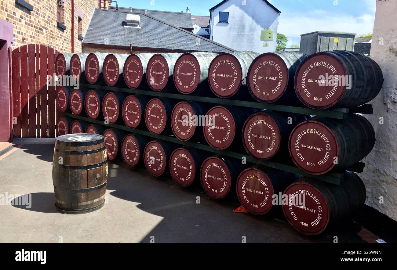 Barrels. Bushmills distillery - Smartphone Captured Stock Image