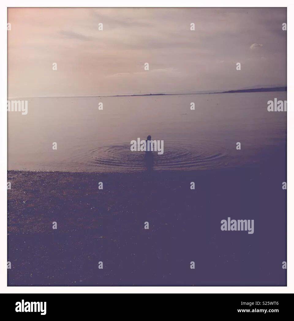 Living the dream Stock Photo Alamy