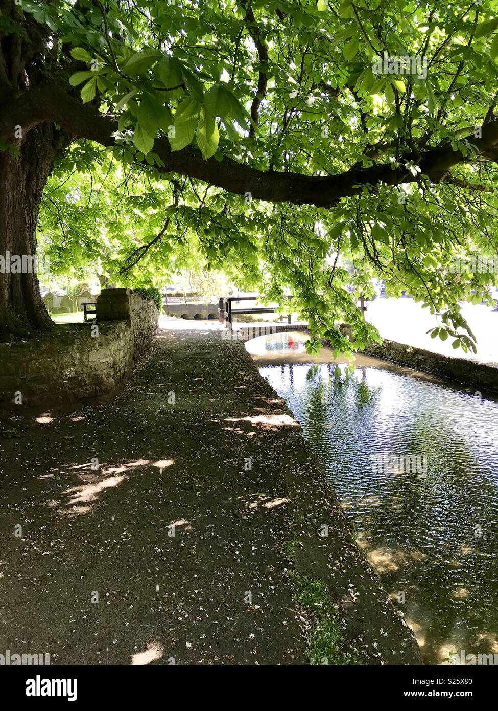 Nettleham beck in the sunshine under the horse chestnut tree - Smartphone Captured Stock Image