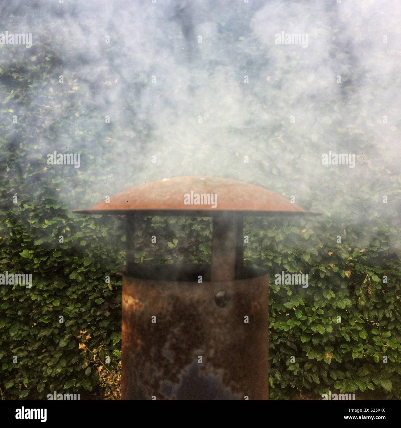 Smoking chimney from a wood burning pizza oven Stock Photo Alamy