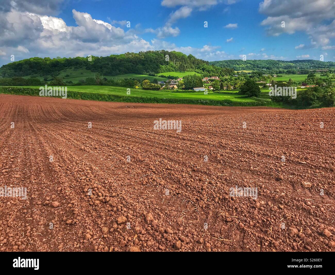 View to the rural village of Compton Dundon, Somerset, across a ploughed field in early summer. - Smartphone Captured Stock Image