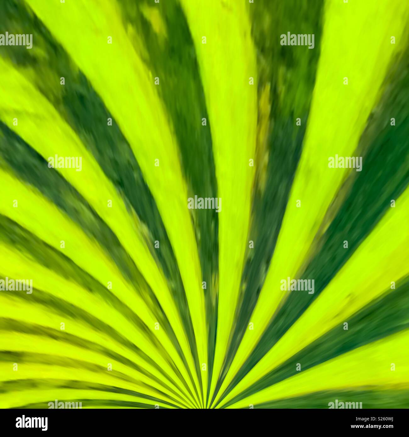 Freshly mowed rolling hill, a design - Smartphone Captured Stock Image