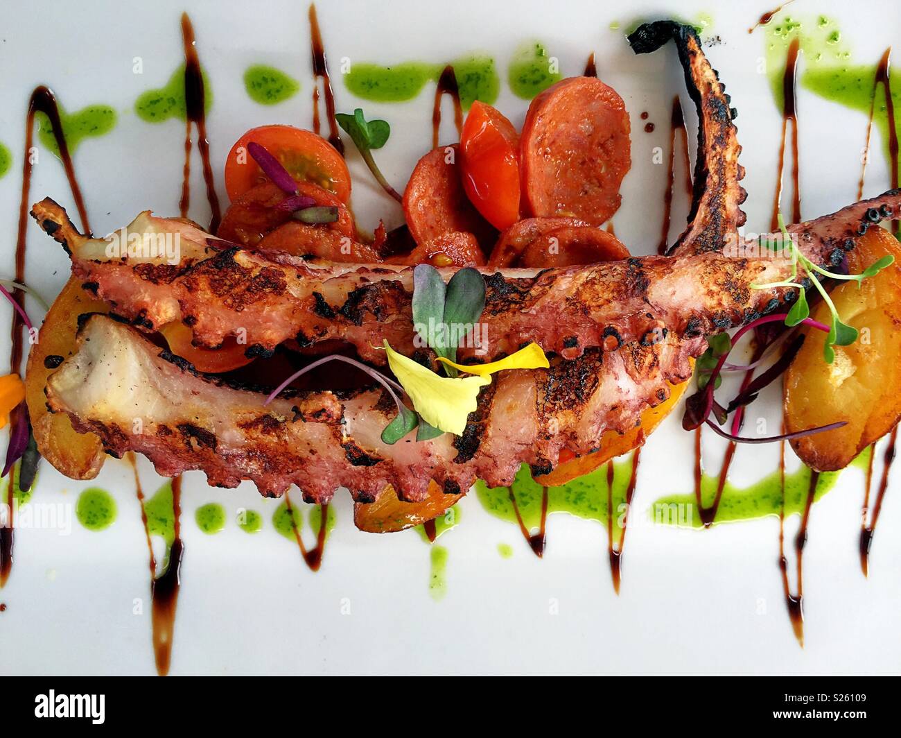 Grilled octopus and chorizo entrée still life Stock Photo Alamy
