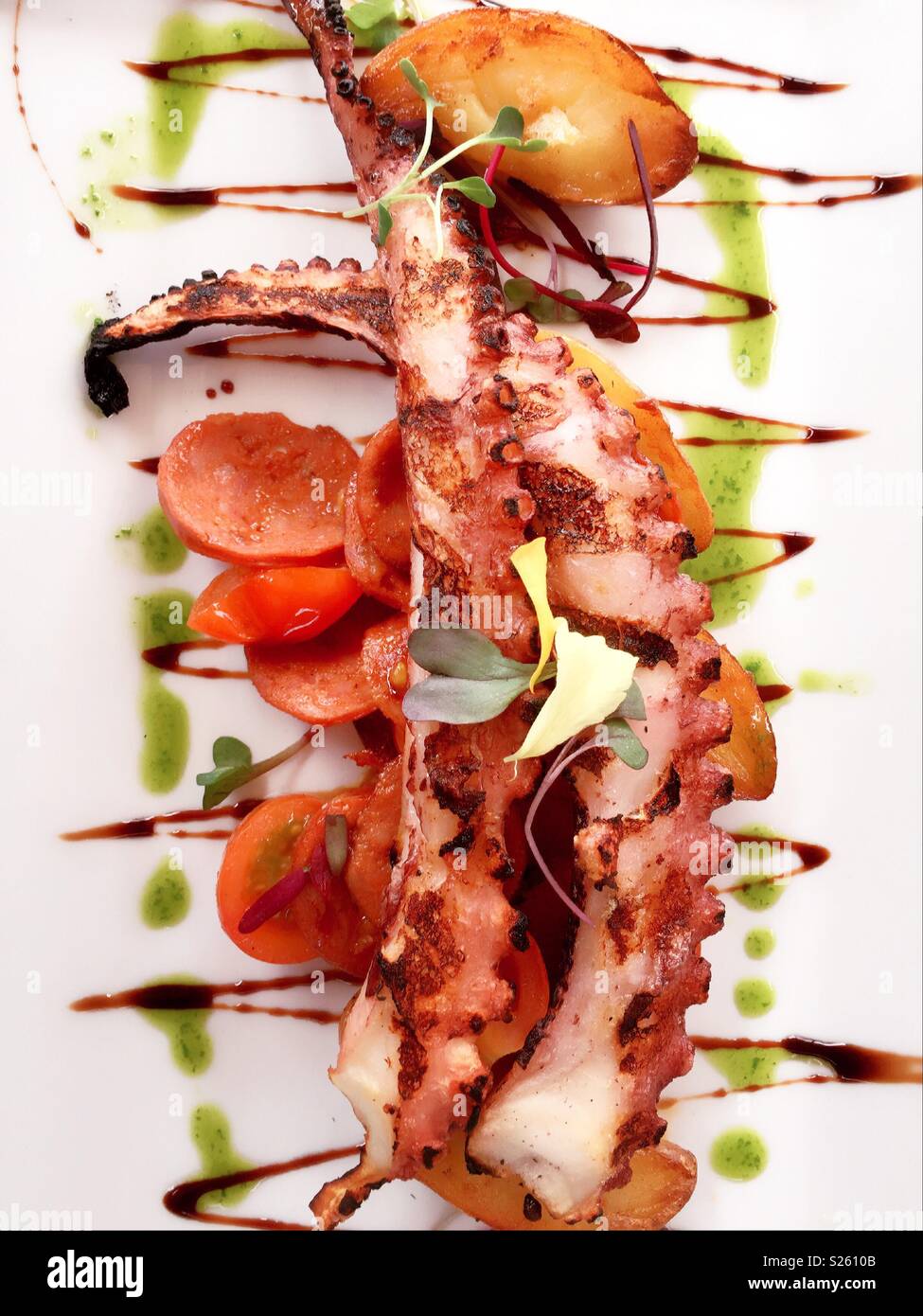 Grilled Octopus Entree