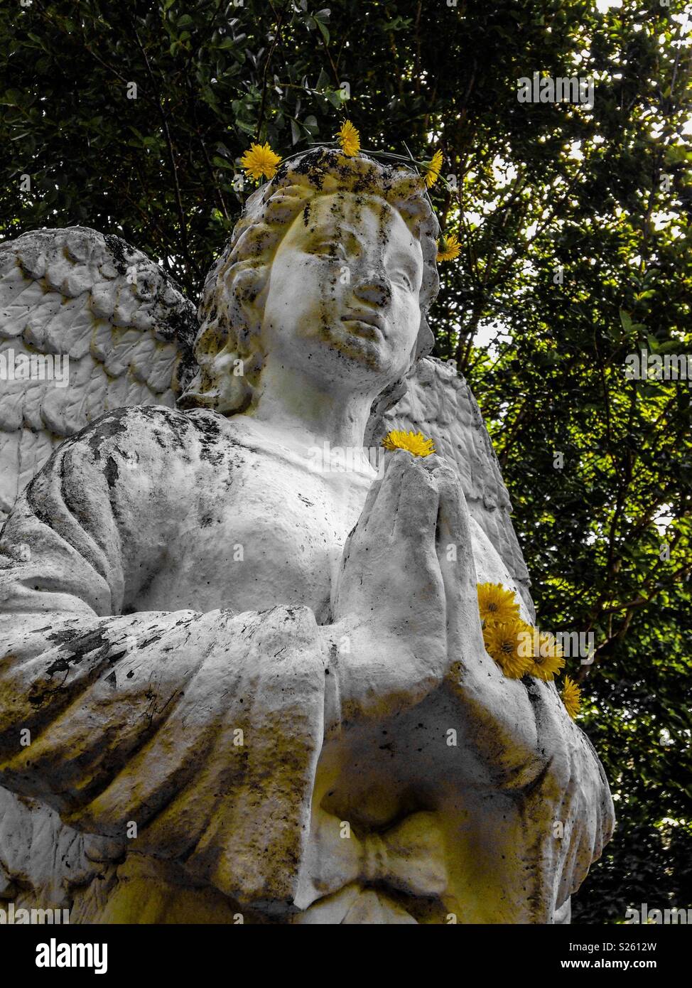Angel statue with dandelions in hair Stock Photo