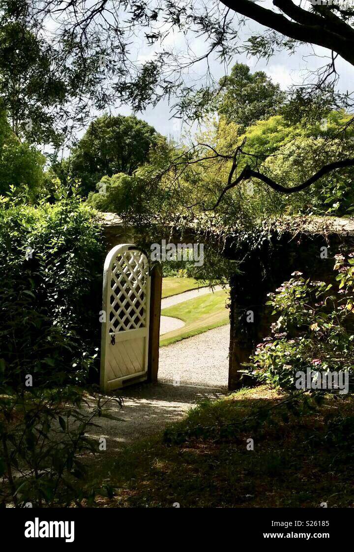 View through the doorway - Smartphone Captured Stock Image