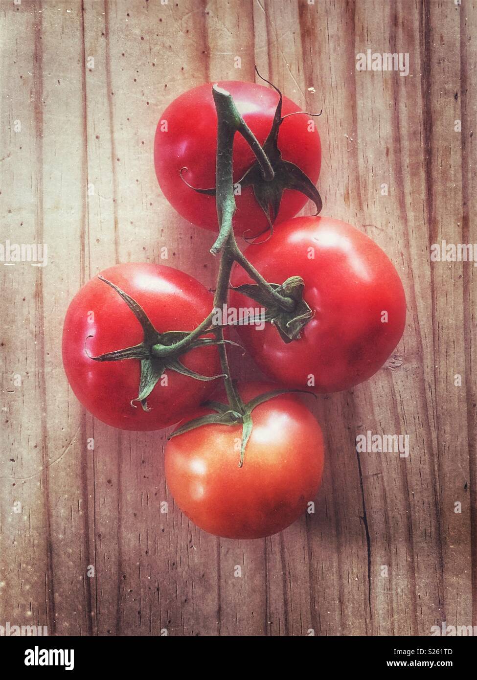 Four tomatoes on the vine on a wooden surface - Smartphone Captured Stock Image