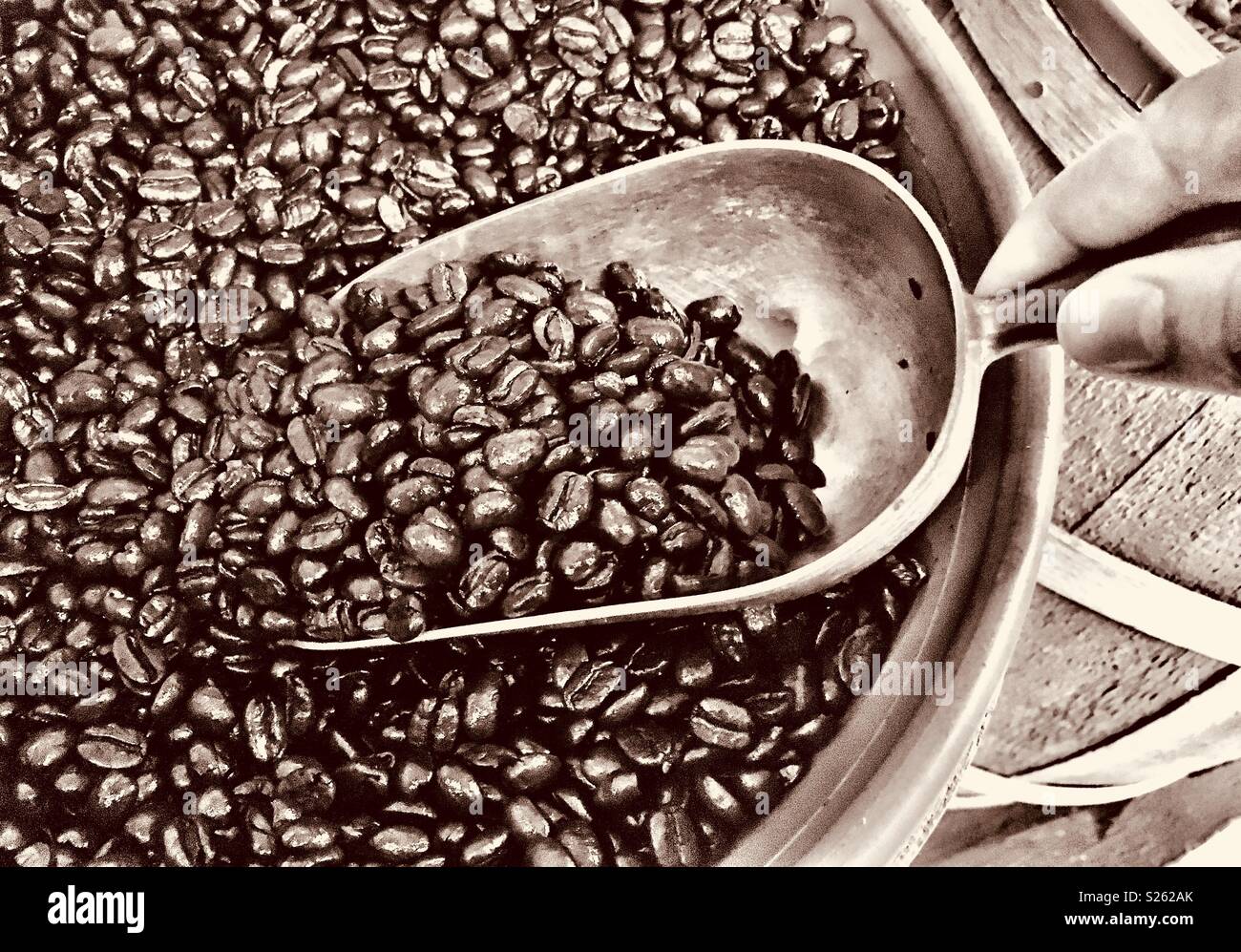 Woman scooping coffee beans hires stock photography and images Alamy