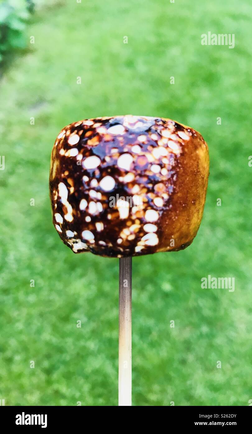 Burt marshmallow hires stock photography and images Alamy