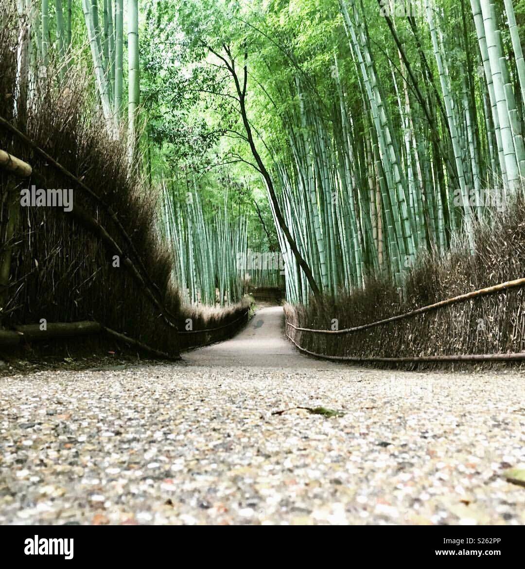 Japan - Smartphone Captured Stock Image