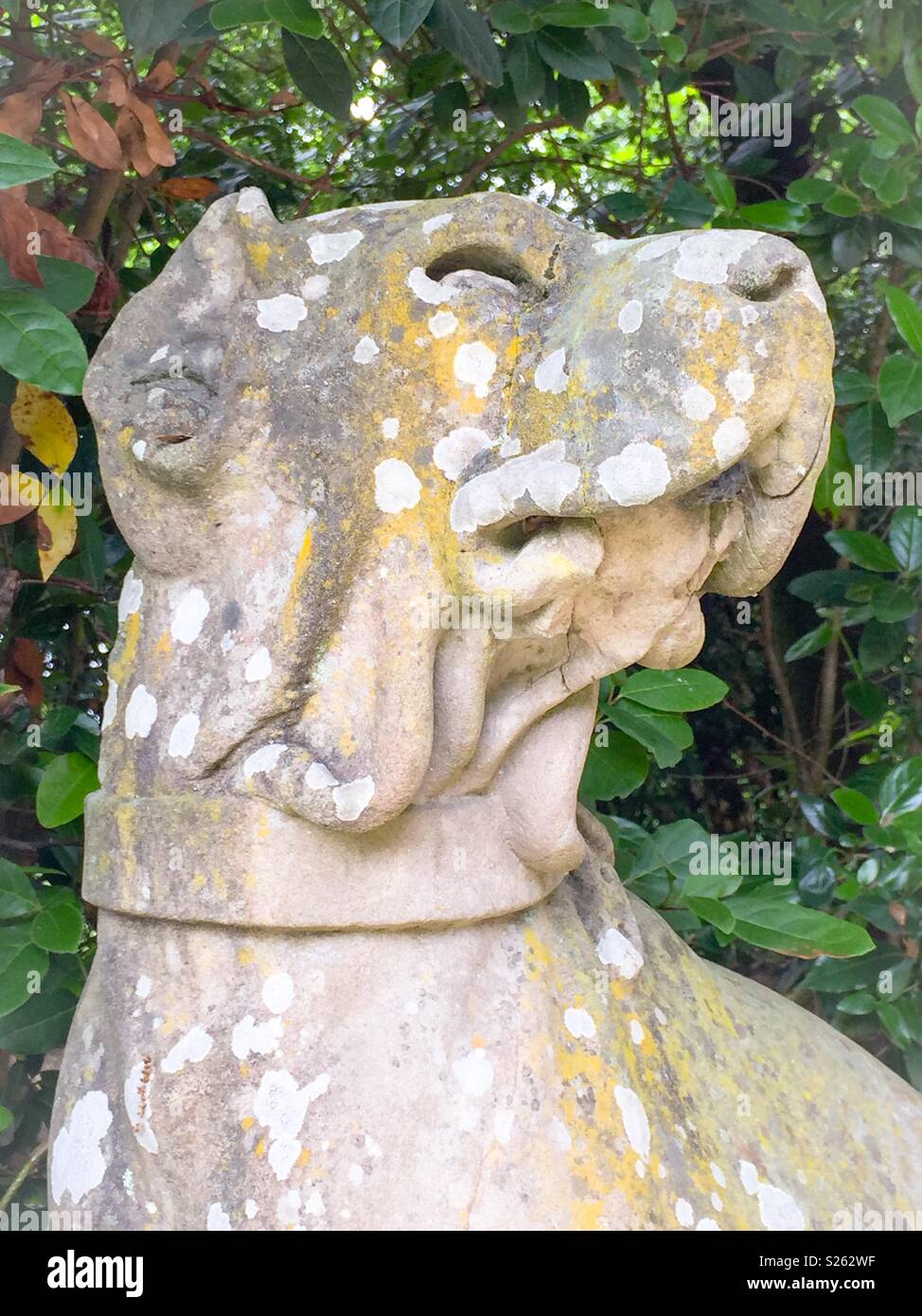 Stone statue of a dog Stock Photo Alamy