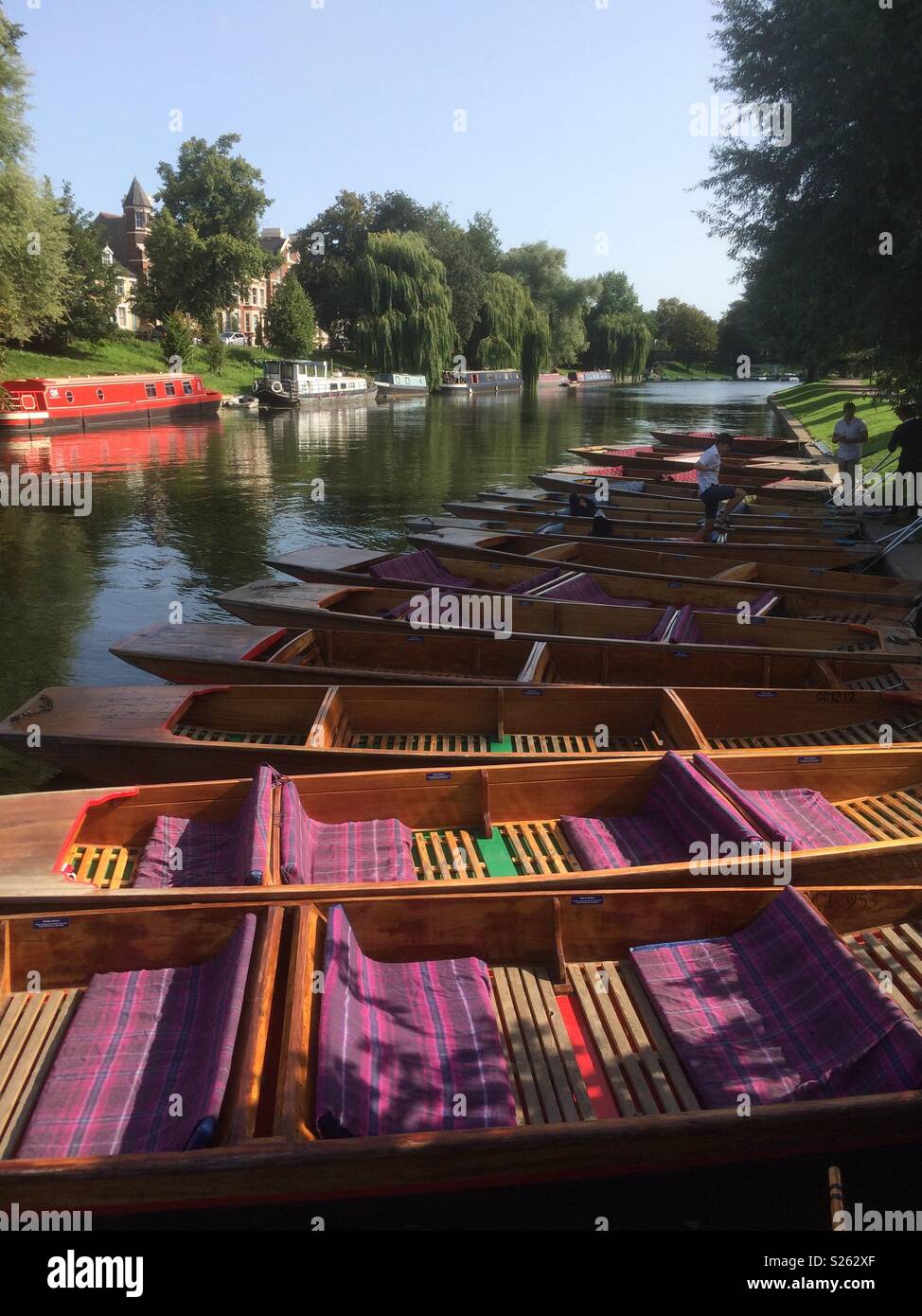 Punting in Cambridge - Smartphone Captured Stock Image